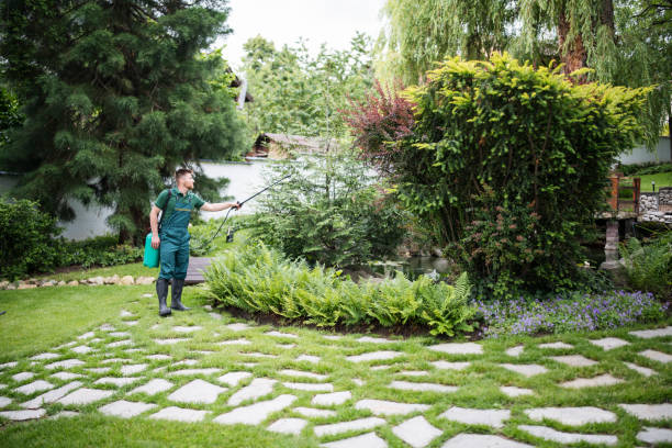 Best Bed Bug Extermination  in Pine Valley, CA