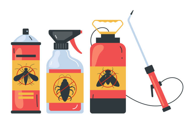 Reliable Pine Valley, CA Pest Control Solutions