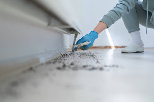 Best Cockroach Control Services  in Pine Valley, CA